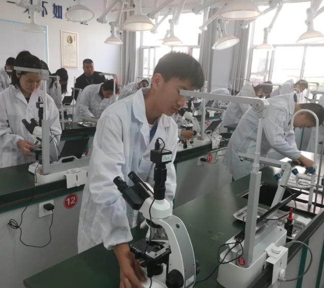 教育者都有鼓励作用这种作用在儿童与青少年中体现得非常明显