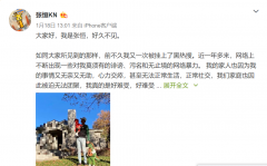 风波背后的郑爽商业版图：曾与张恒合开公司发