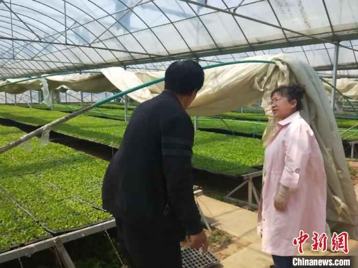 图为农业技术人员上门开展农业技术服务。 赵彦杰 摄 山西上党建云端“农业诊所” 线上问诊护航春耕生产